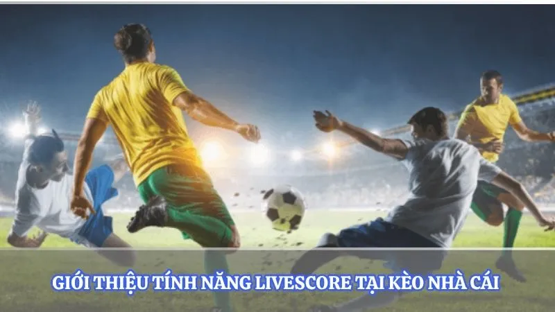 Giới thiệu tính năng Livescore tại kèo nhà cái