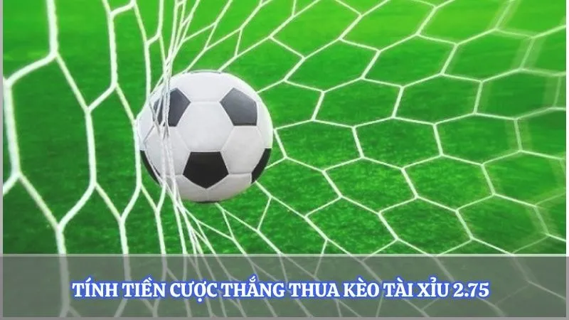 Tính tiền cược thắng thua kèo tài xỉu 2.75