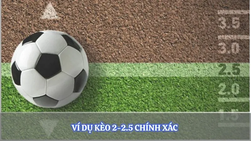 Ví dụ kèo 2-2.5 chính xác